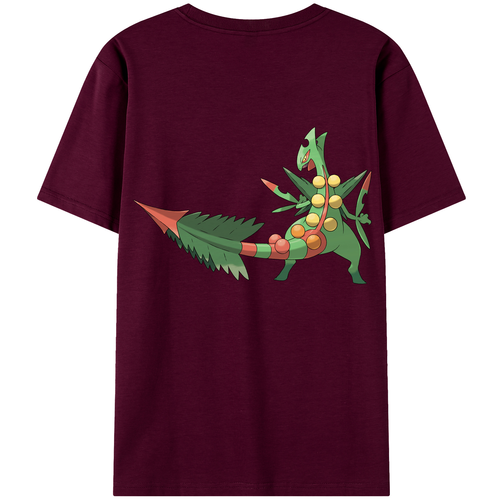 （画像用） ポケットモンスター Pokémon レディース半袖Tシャツ(バックプリント)